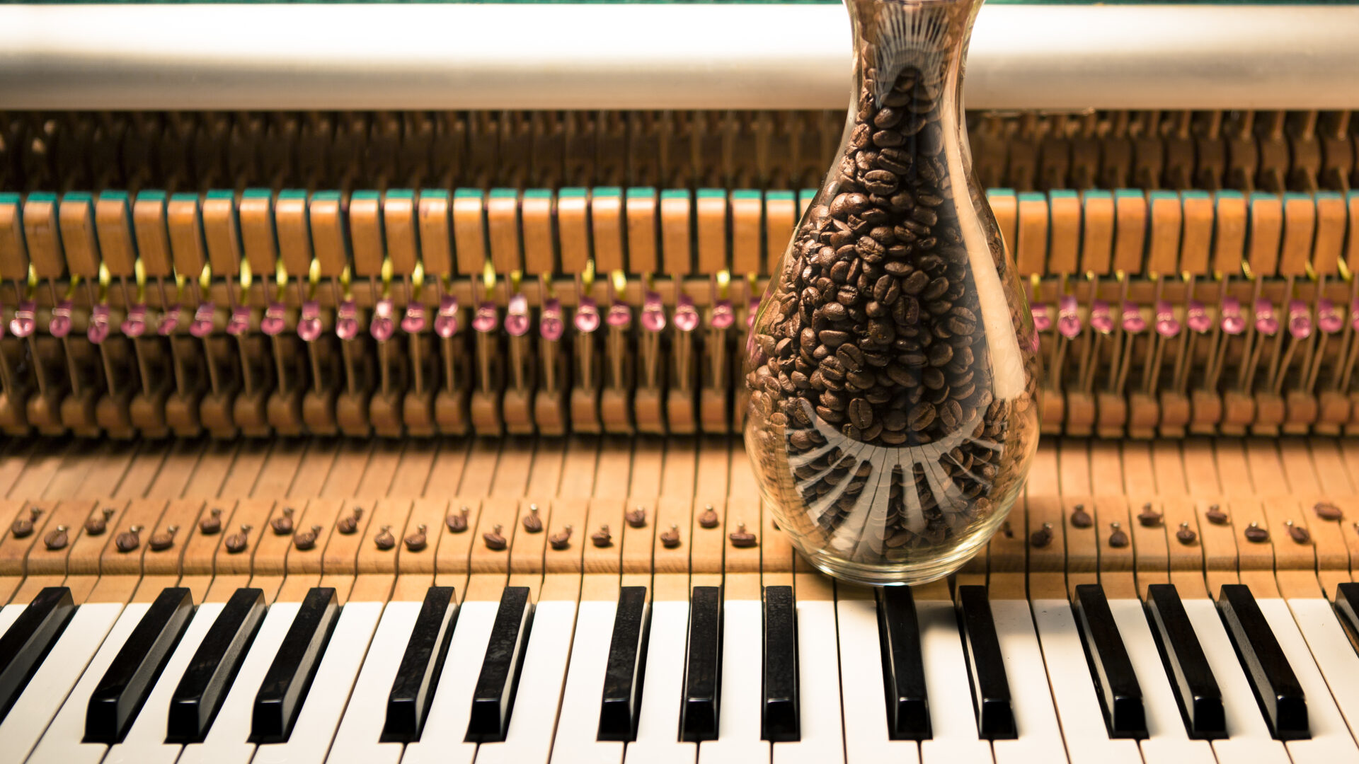 Dani Gurgel & Novos Compositores - Coffee & Music